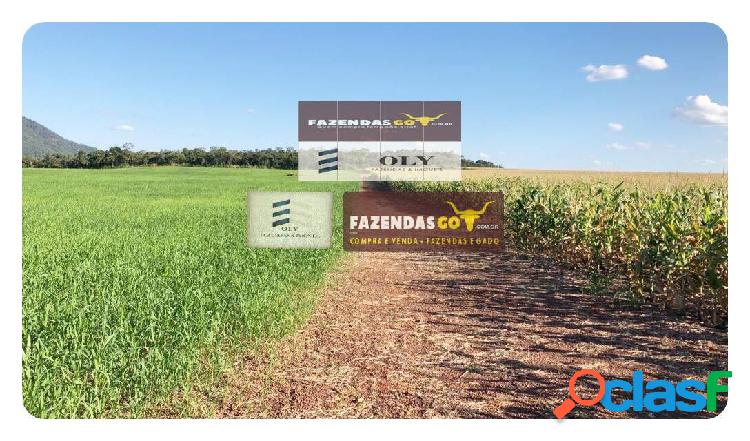 OPORTUNIDADE ! Fazenda no Tocantins Município - Santa Rosa