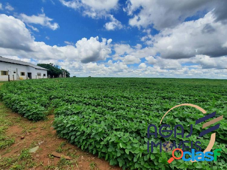 FAZENDA EM ALTO GARÇAS-MT | 210 ALQ | PECUÁRIA - LAVOURA