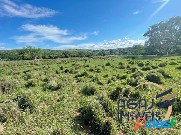 FAZENDA EM TORIXORÉU-MT | 166 ALQ | DUPLA APTIDÃO