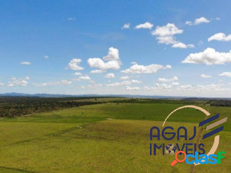 FAZENDA EM GUARAÍ-TO | 3.590 ALQ | DUPLA APTIDÃO