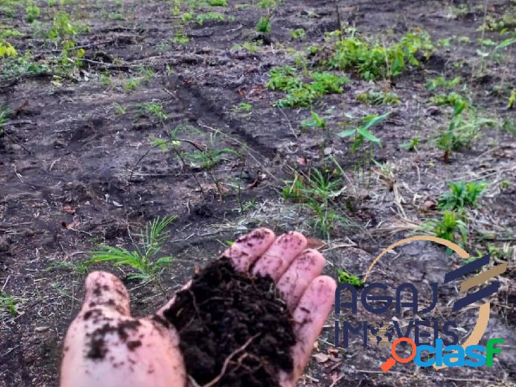 FAZENDA EM PEDRO AFONSO-TO | 347 ALQ | DUPLA APTIDÃO