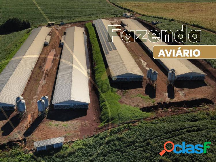 Fazenda Agroindustrial, Sorriso [Aviário]