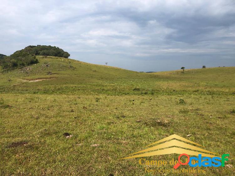 Chácaras no Rincão das Flores - Caxias do Sul