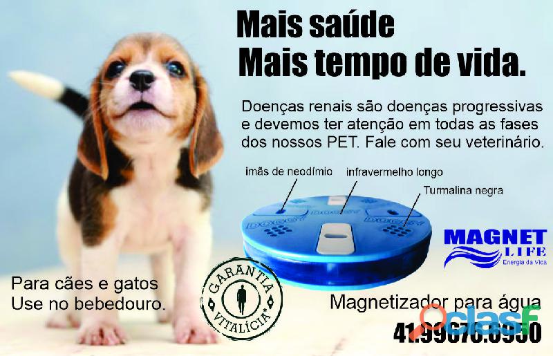 MAGPET disco magnético para água bebedouro pet cães e