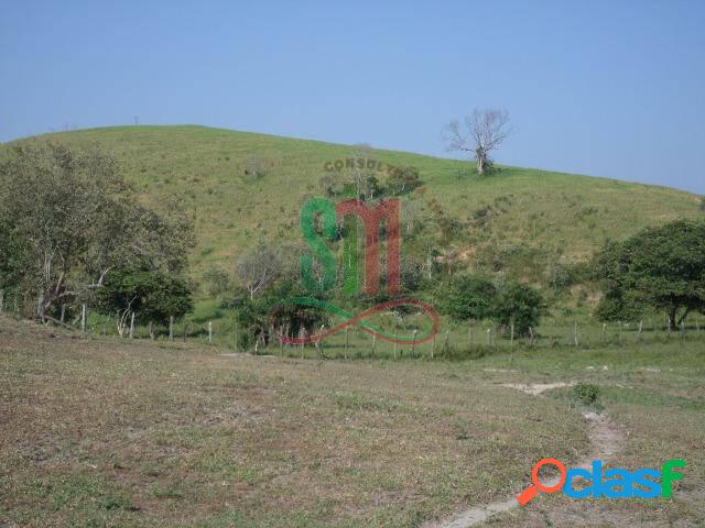 Fazenda em Silva Jardim - RJ com 236 alqueires (48400),