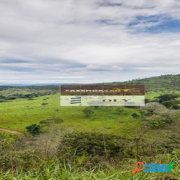 Fazenda para Pecuária ! Região de Campinaçu ! 143,5