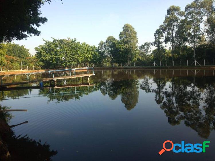 Sítio com 03 quartos, 7Alqueires Paulista, à venda em