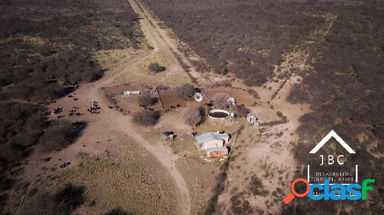 VENTA CAMPO LA PAMPA 1259 HA GANADERO