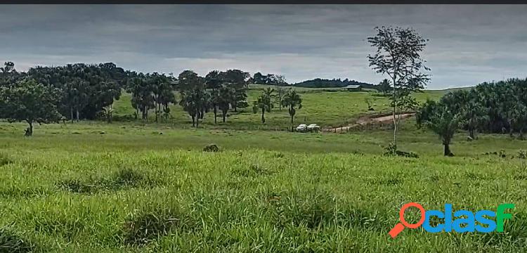 Vende-se fazenda de 123 alqueires com 105 formados em Jaru