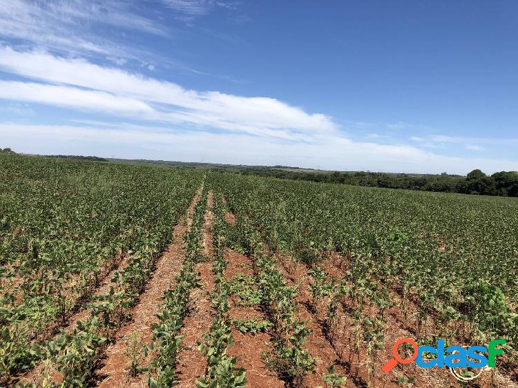 Área de 45 hectares no município do Rolador (RS)