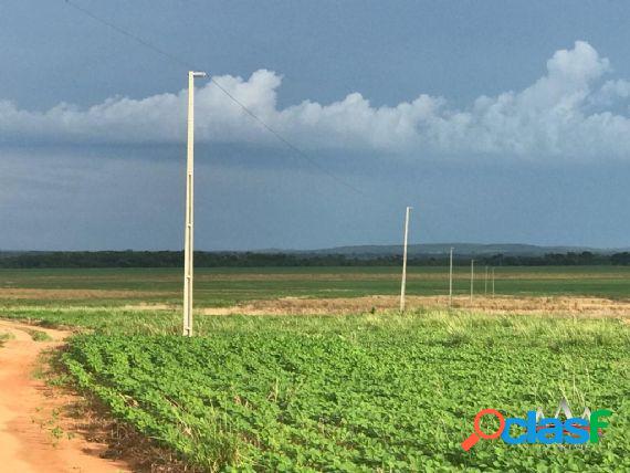 Fazenda de soja a venda entre os municípios de Jangada e