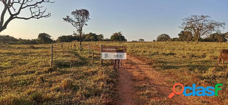 Chácaras em Bela Vista - Go à Venda ! 20.000m -