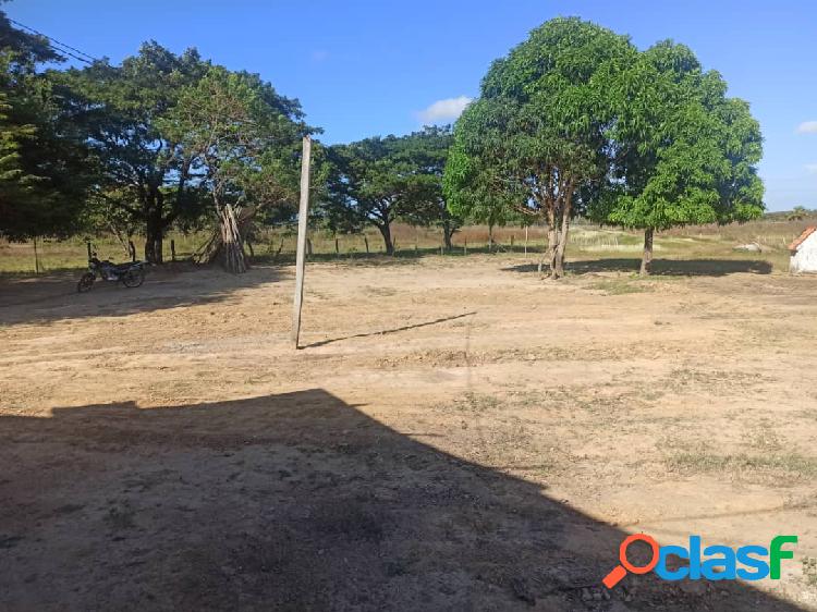 EN VENTA, FINCA PRODUCTIVA DE 236 HECTÁREAS - ESTADO