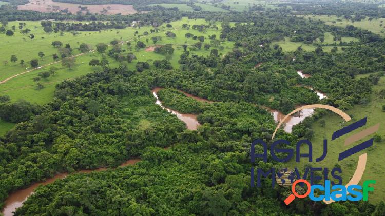 FAZENDA EM PARANÃ-TO | 1.460 ALQ | PECUÁRIA