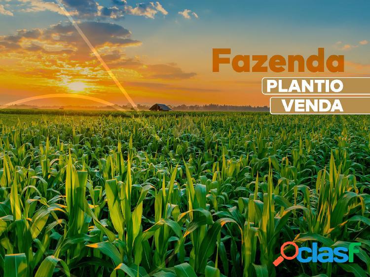 Fazenda, á Venda, Nova Ubiratã - MT