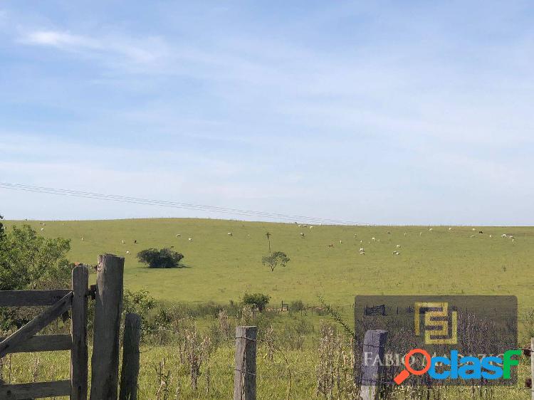 Fazenda na pecuária rica em água região de Cafelândia