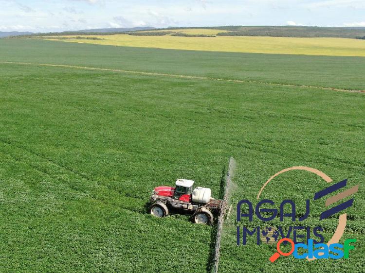 FAZENDA EM ÁGUA FRIA-GO | 90 ALQ | LAVOURA