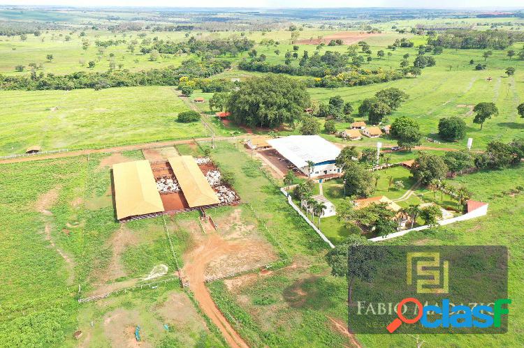 Fazenda 253 Alqueires em Jales SP