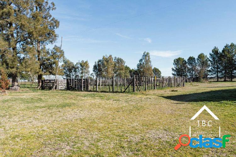 CAMPO EN VENTA, MAYOR BURATOVICH, 174 HAS.