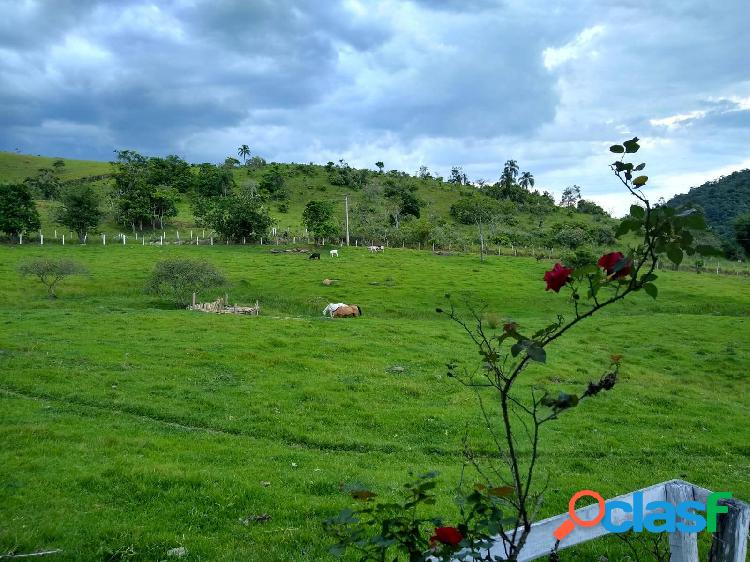 Sítio À Venda em Jacareí - SP Com Casa Sede, Lago e Pasto