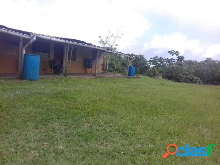 VENTA DE FINCA EN NIRGUA DE 67 HAS