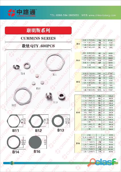 Armature Stroke Adjusting Shim for Bosch