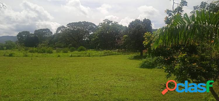 FINCA EN GUIGUE 100 HECTAREAS