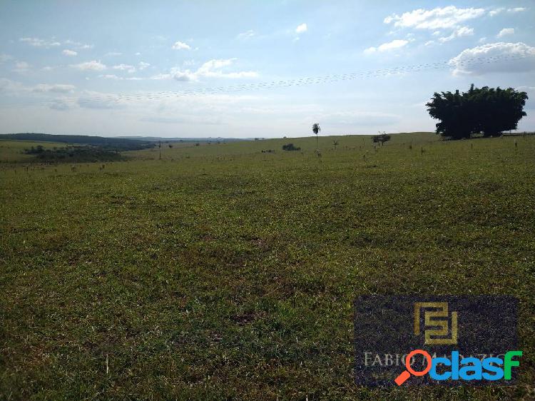 Fazenda 113 alqueires em região de Cafelândia SP