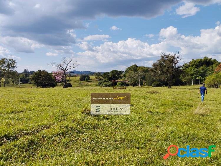 Fazenda de Oportunidade, 3,5 alqueires ! Região de