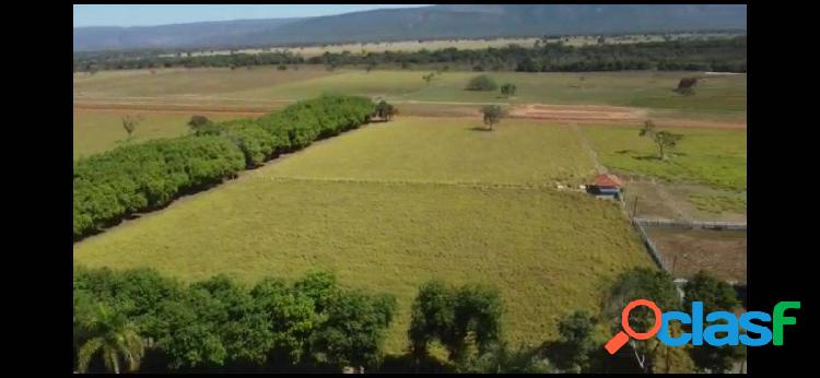 Fazenda de Oportunidade ! Região de Formosa ! 1.000