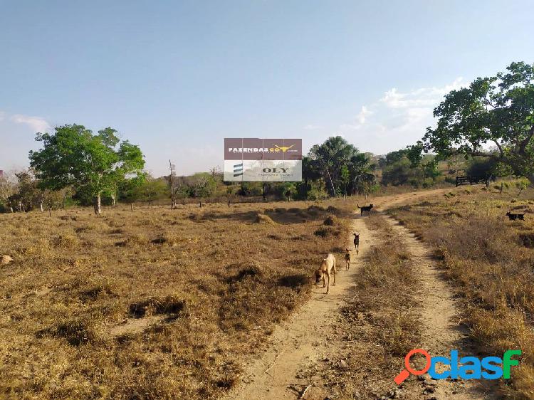 Fazenda de Oportunidade - Região de Mutunópolis - 80