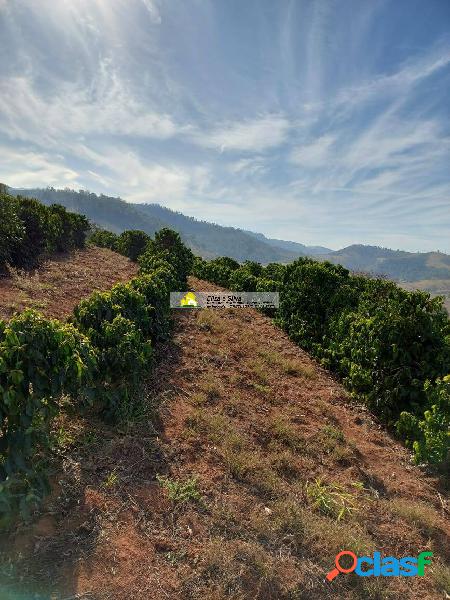 Sítio de 7 alqueires com café mecanizado, a venda em