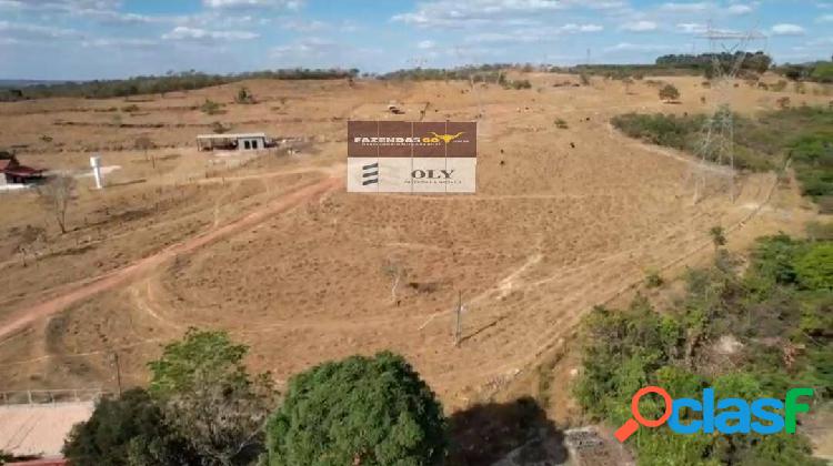 Fazenda - porteira fechada! São 26 Alqueires, região de