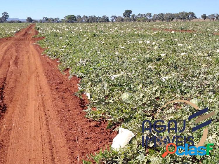 FAZENDA EM MONTIVIDIU DO NORTE-GO | 70 ALQ | PECUÁRIA -
