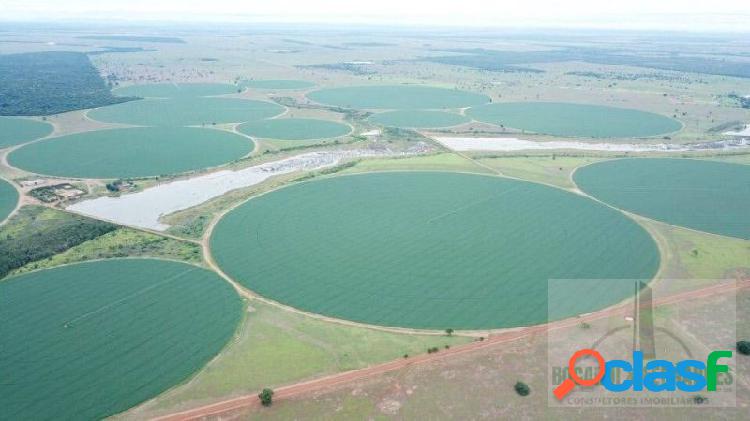 Fazenda de soja à venda em Goiás, 5.324 hectares, em plena