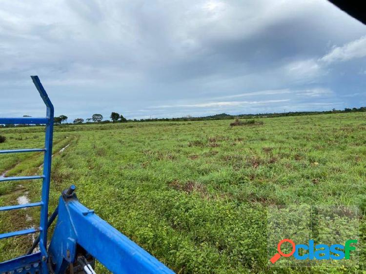 Fazenda na região em Goiás, dupla aptidão, 3.182 hectares