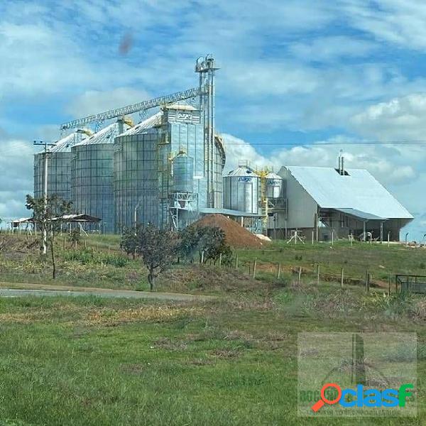 Fazenda produtiva à venda em Cristalina, agricultura,