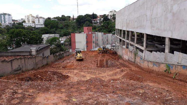 Lote, Palmeiras