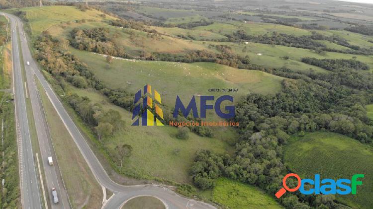 Fazenda com 50 alqueires paulistas - Campina do Monte Alegre