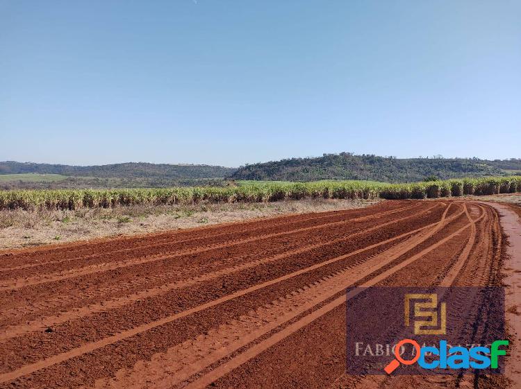 Fazenda plantio cana-de-açúcar região São Carlos SP