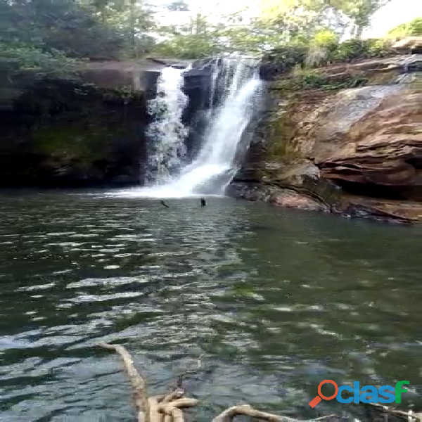 100 Alqs de Cultura Plana Boa d Água Cachoeira Angico TO