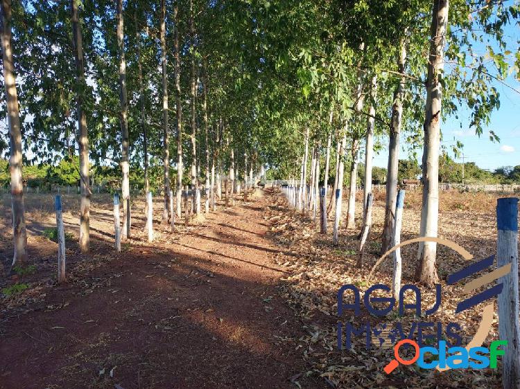 FAZENDA EM JOÃO DOS PATOS-MA | 429 ALQ | DUPLA APTIDÃO