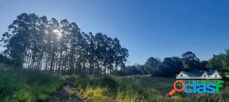 Velleda oferece Área de 3 hectares as margens do asfalto em