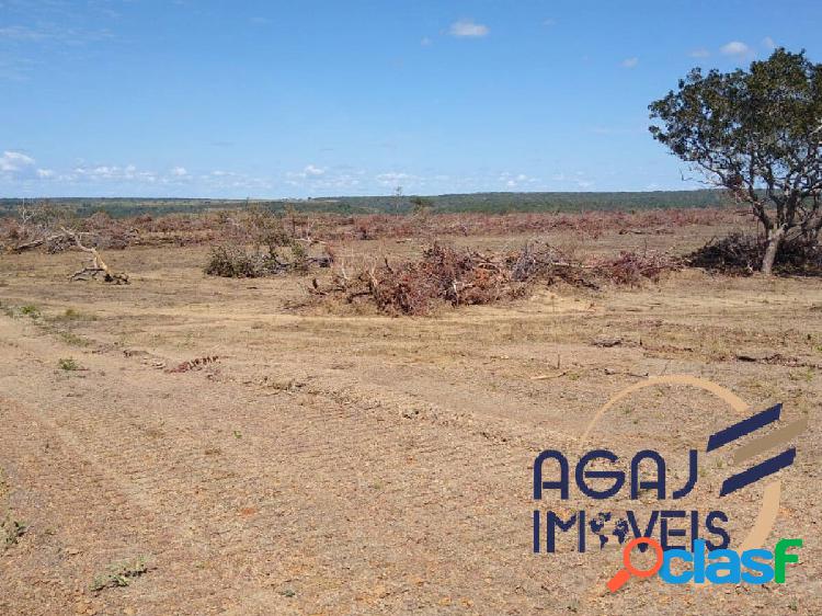 FAZENDA EM PEDRO AFONSO-TO | 111 ALQ | PECUÁRIA