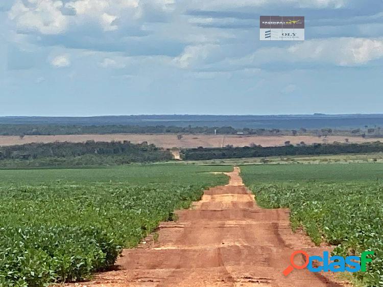 FAZENDA EXTRA A VENDA MUNICÍPIO DE DIAMANTINO-MT !