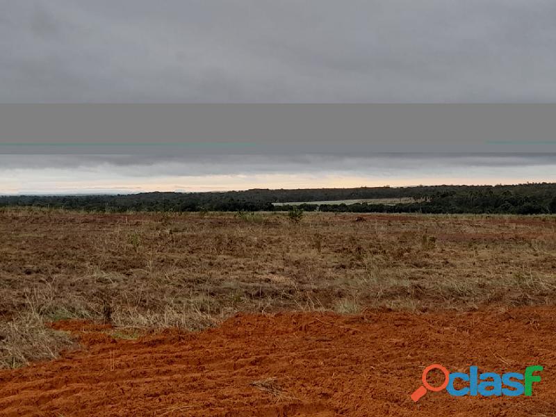 300 Alqs Plantando Ótima Logística Região Palmas TO