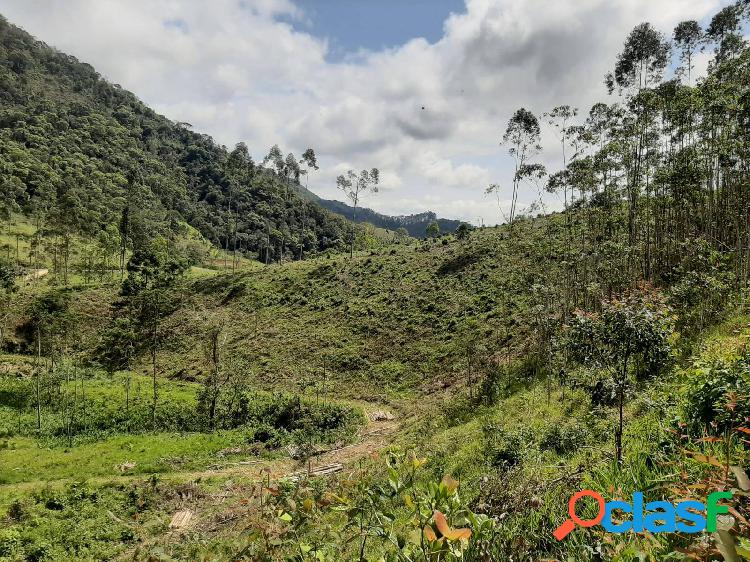 Chácara 30.000 m² À Venda Em Paraibuna /SP