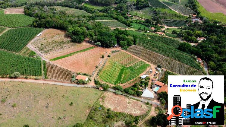 SÍTIO COM LAVOURA A VENDA EM LOUVEIRA SP