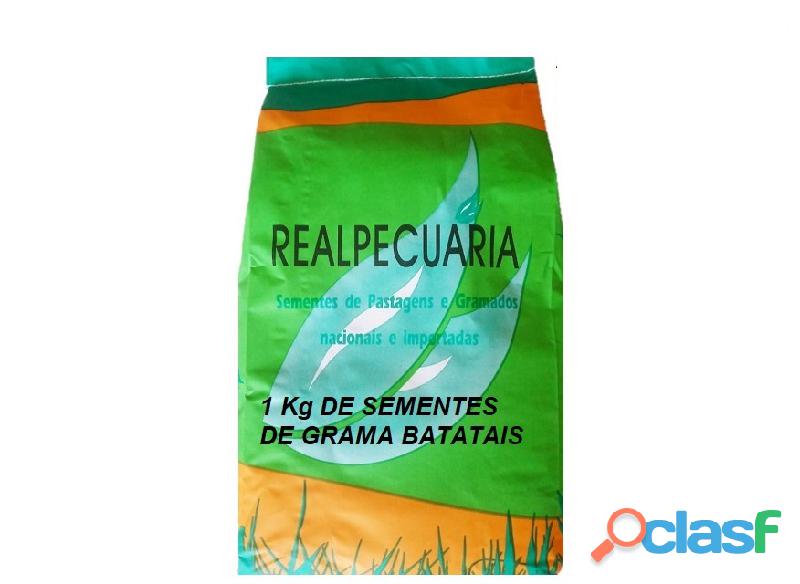 Sementes De Grama Batatais P/ Gramados ( 1 Kg Rende 150m2)