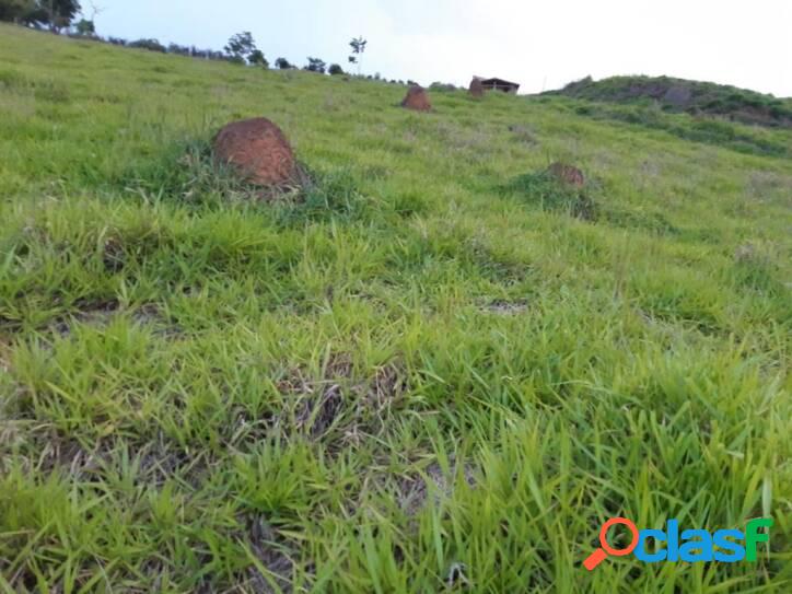 Terreno à venda, 5000 m² por R$ 120.000 - Santa Luzia